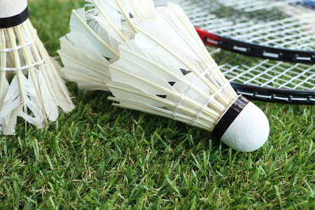 关注度最高 关注度最高