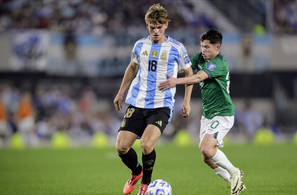 获得了评委 获得了评委